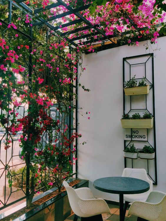 A balcony with metal grilles decorated with vines and flowers, with modern furniture and a planter on the wall is wow