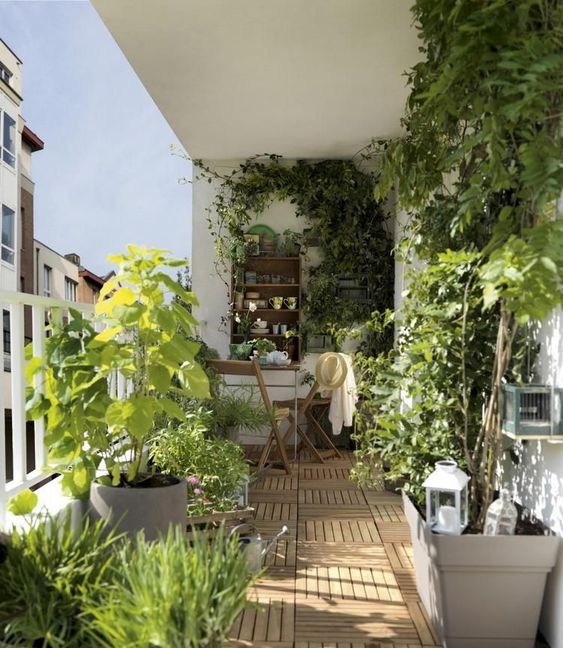 a cozy, modern balcony with simple folding furniture, a trellis on the wall and climbing vines, and some planters with greenery and other plants