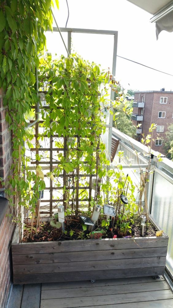 A reclaimed wood planter with a trellis and vines covering it and climbing up is a cool idea for a rustic or farmhouse balcony