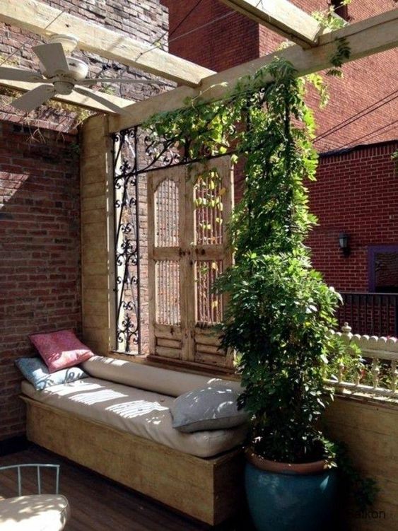 a sophisticated vintage balcony with a daybed and a potted plant climbing up the trellis, creating more privacy and protection from the sun