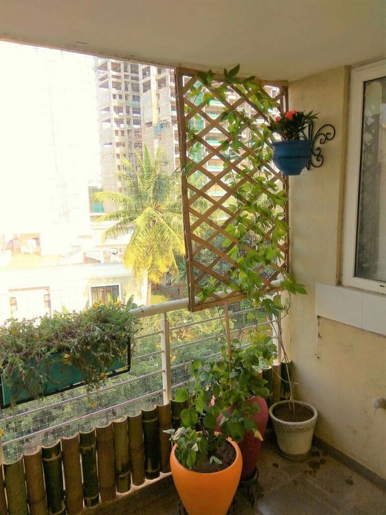 a small balcony with a trellis, some planters with climbing vines and a planter on the railing
