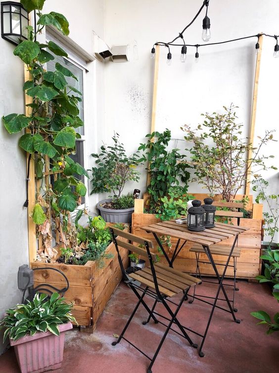 A small balcony with folding furniture, planters with green plants and a trellis with cucumbers climbing up it is a cool and cozy place
