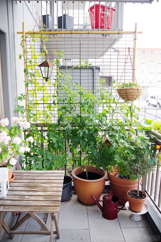 A small modern balcony with a stool, a trellis of greenery and potted plants is a fresh space that feels like a garden