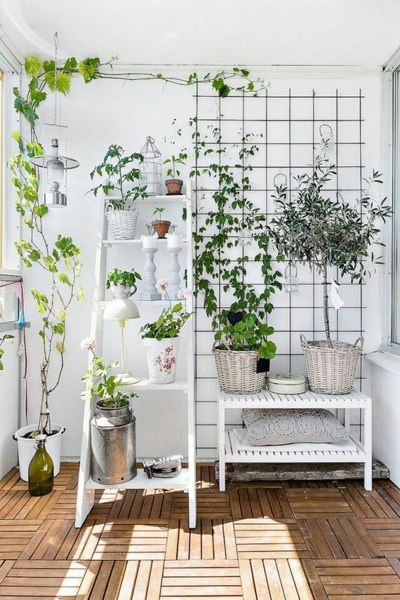 A white Scandinavian balcony with a decorated ladder, a trellis with some vines and a potted tree looks calm and airy