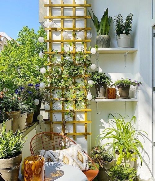 a balcony with trellis and lights, shelves with potted plants, some modern furniture and some boho decor