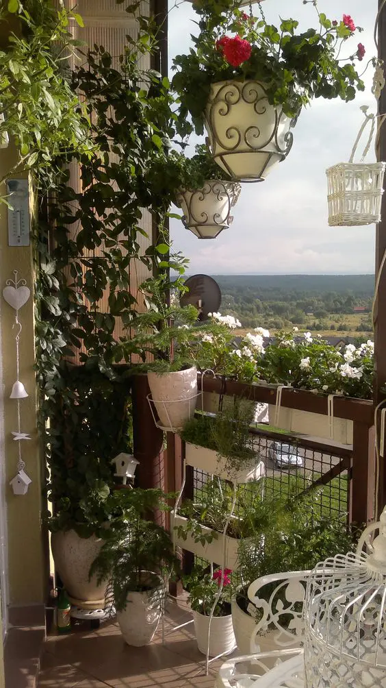 A balcony with lots of greenery and flowers, planters hanging from the railings and a trellis with some vines looks more like a garden