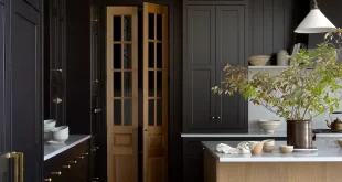 black kitchen cabinets