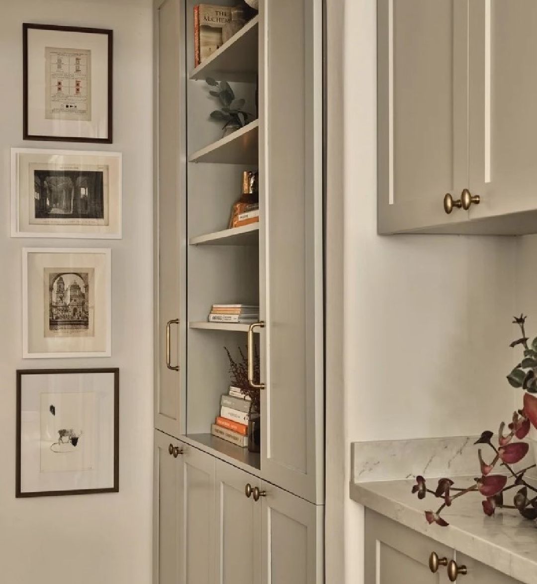 Fresh and Timeless: The Allure of White Kitchen Cabinets