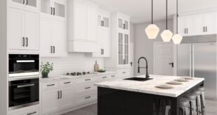 black and white kitchen ideas