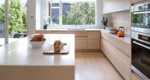 kitchen cabinets design