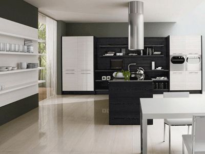 Modern Kitchen Cabinets, Black, White and Brown Color Schemes .