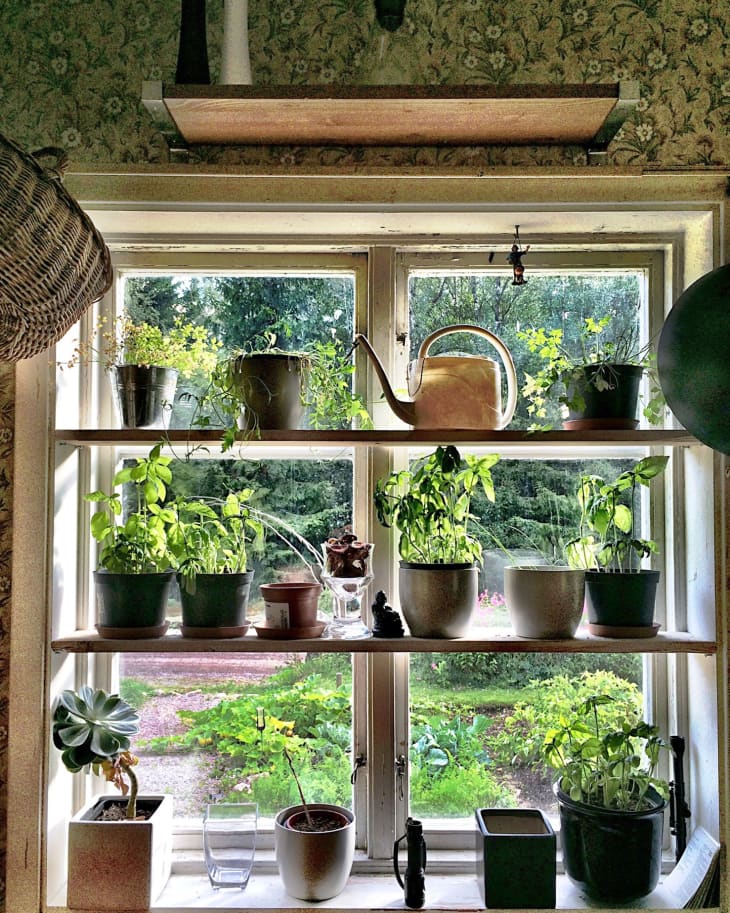 How to Make Your Own Kitchen Window Herb Garden | The Kitc