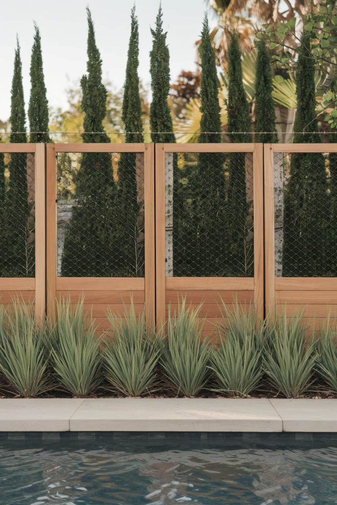 A wooden fence with chain link and tall cypress trees stands behind a row of prickly green plants next to a pool.