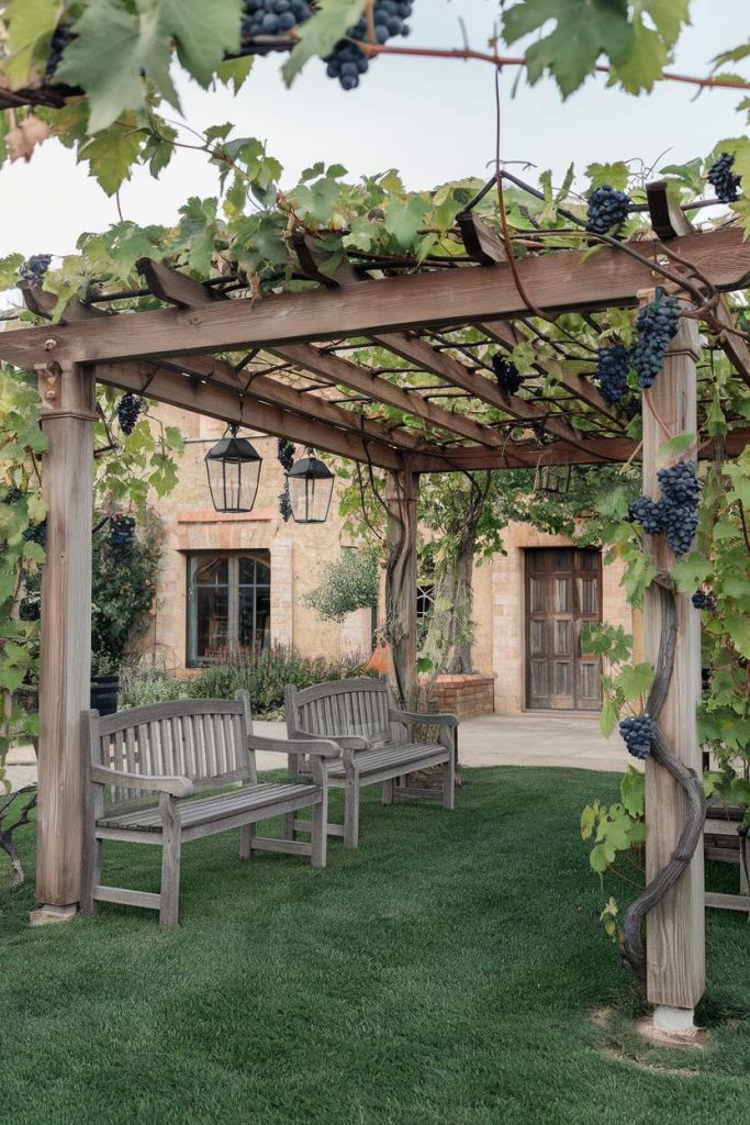 Wooden pergola with vines and hanging lamps covering two benches on a lawn. Stone building with wooden door in the background.