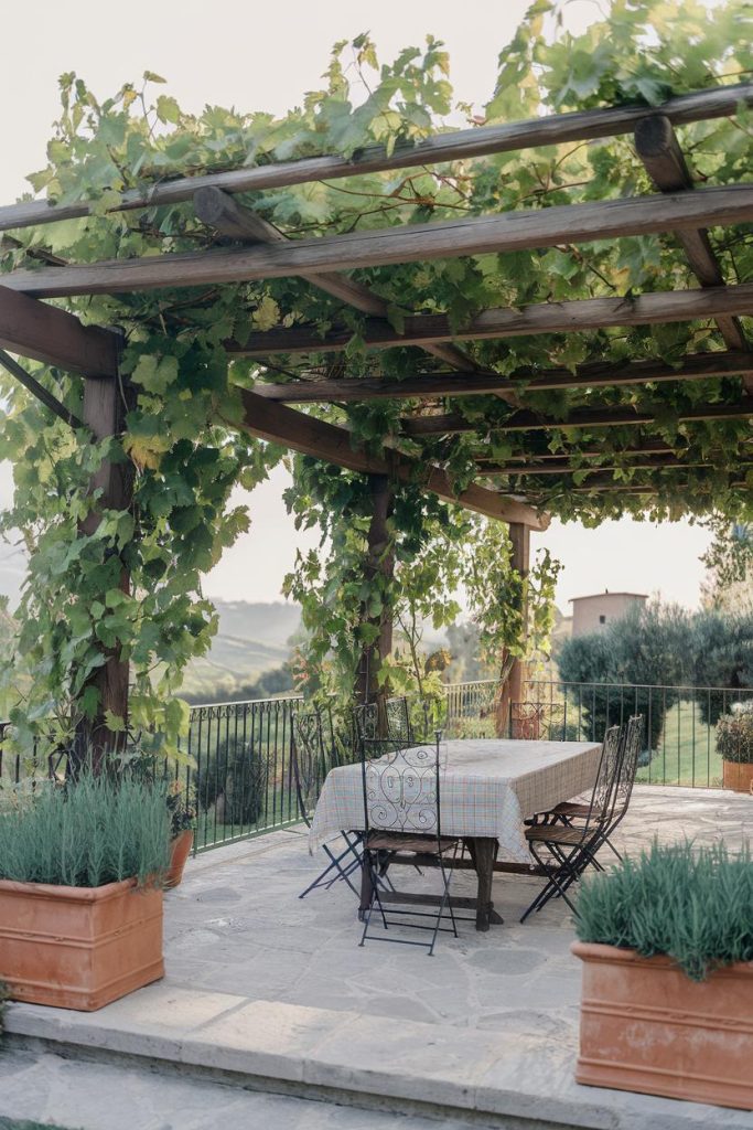 A terrace with a pergola covered in green vines, a table and chairs. The area is surrounded by potted plants and overlooks a picturesque landscape.