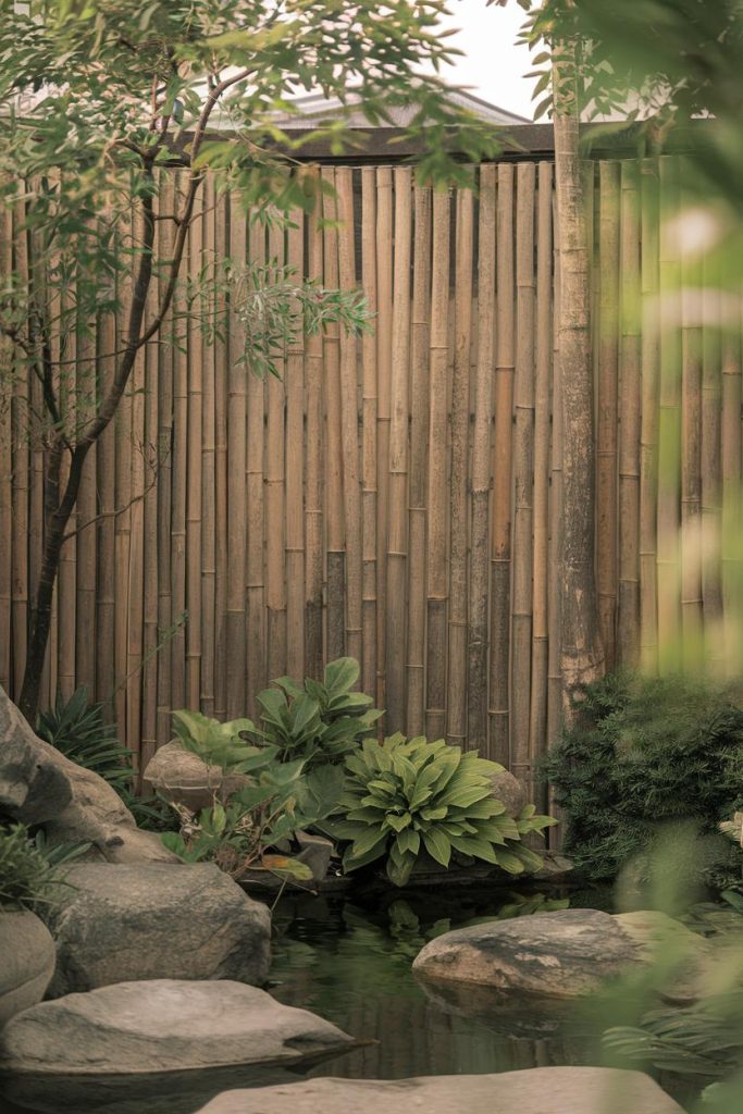 A tranquil garden scene with a bamboo fence, small pond, rocks and lush greenery.