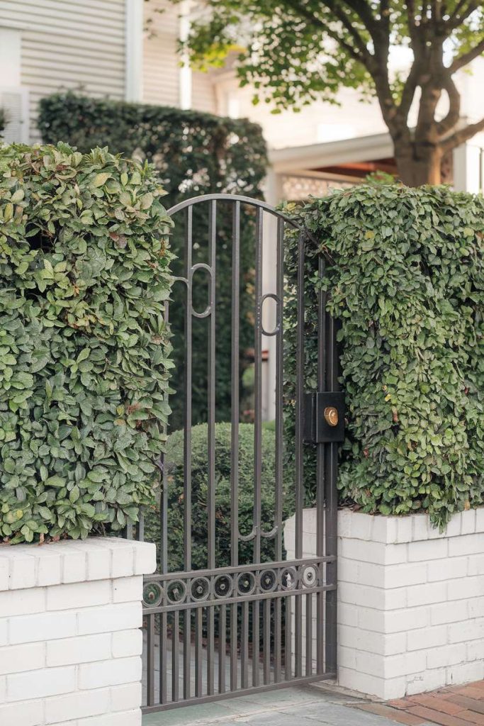 A black metal gate is flanked by green hedges on white brick walls in front of a house.