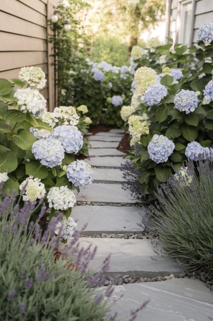 Stone path lined with blooming hydrangeas and lavender between wooden house walls.