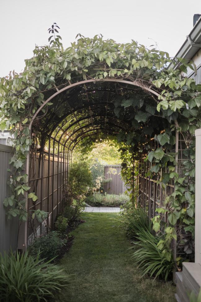 A garden path with a wooden arch covered with lush green climbing plants, surrounded by grass and bordered by fences, leading to a small garden area in the background.