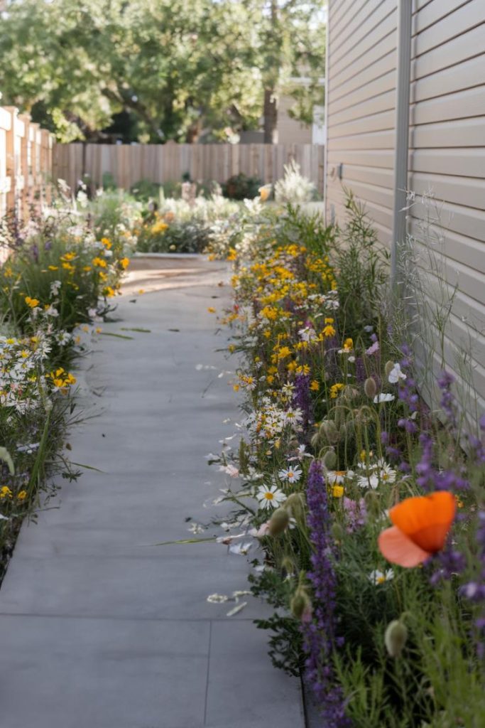 A narrow stone path lined with wildflowers leads away from a house, with a wooden fence on one side and trees in the background.