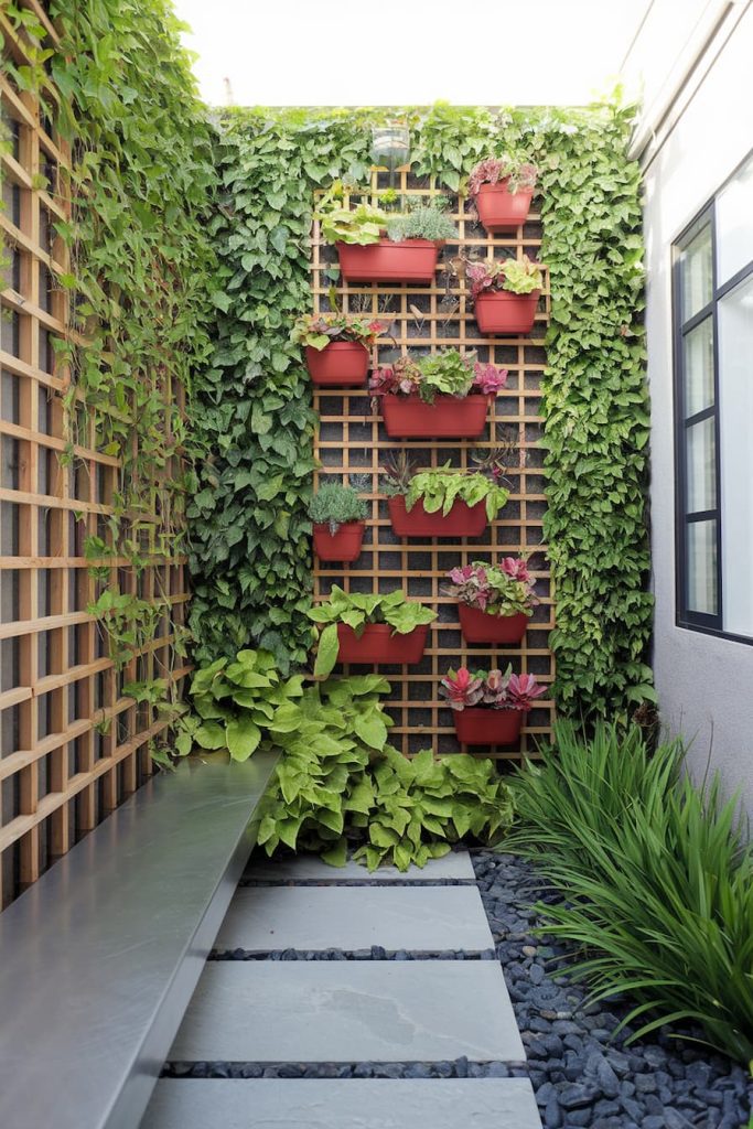 Vertical garden with red pots on a wooden trellis surrounded by green ivy. Gray stone path and metal bench in the foreground.