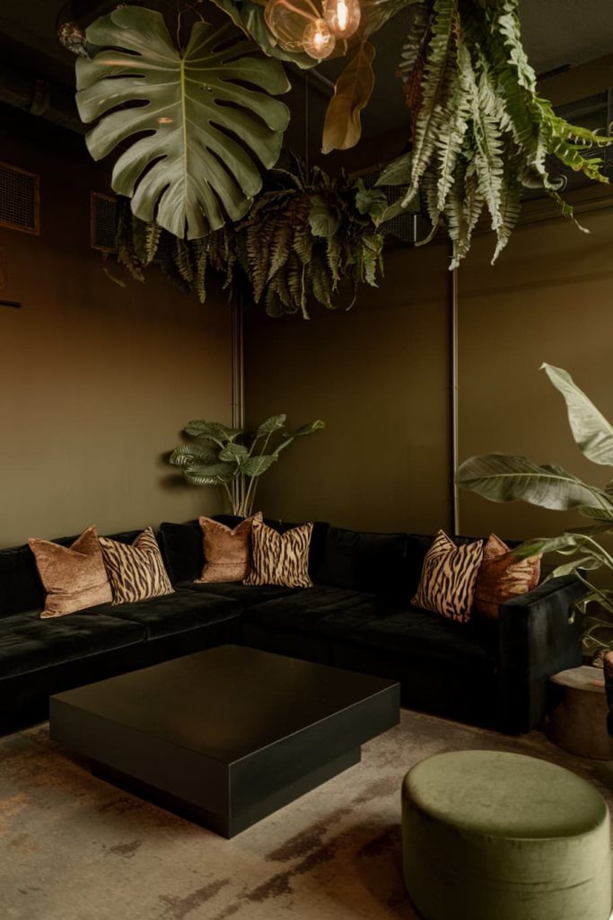 A cozy corner with a dark sectional sofa, zebra print pillows, a black coffee table and lush green plants hanging from the ceiling on olive green walls.