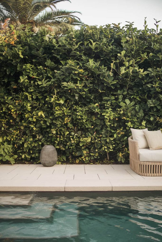 A tranquil poolside scene with a wicker chair, beige cushions, a gray vase and a lush green hedge in the background.