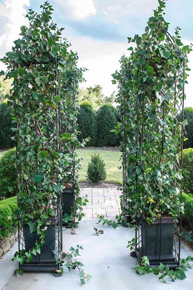 With the Topiary trellis you can shape your greenery into breathtaking botanical sculptures. This <a href=