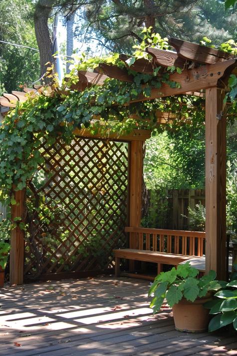 A stunning pergola topped with lush green vines combines with a <a href=