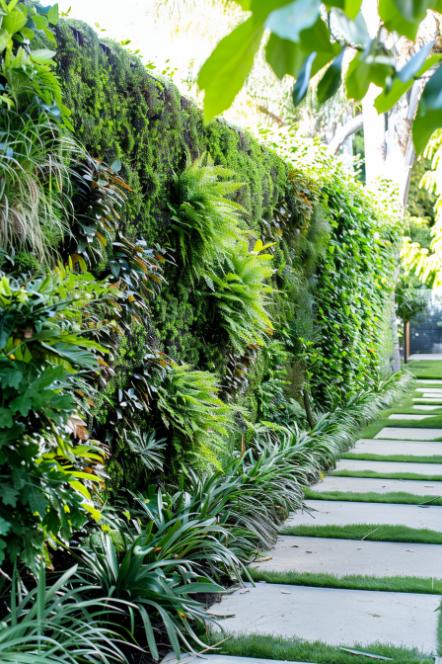 A living wall makes an excellent privacy fence. It is full of various leaves and serves as a vibrant and environmentally friendly privacy fence.