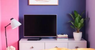 Transform Your Teen’s Space: Vibrant Paint Colors for Their Room