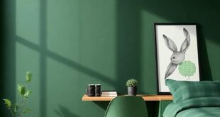 Transform Your Space: Dark Green Boys’ Teen Room Inspiration