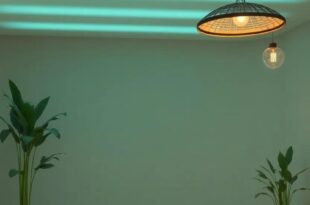 Illuminate Green: Embracing Sustainable Lighting with Bamboo Fixtures