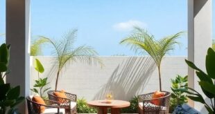 25 Inspiring Patio Ideas to Create Your Perfect Tropical Retreat