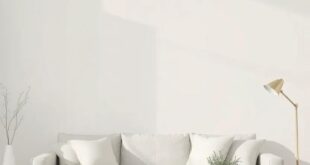 Embracing Serenity: Crafting a Neutral Aesthetic in Your Small Living Room Space